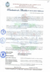 Vista preliminar de documento Resolución de Alcaldía N° 275-2017-MDCA/A.pdf
