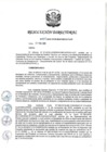 Vista preliminar de documento RD 031-2019