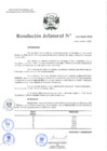 Vista preliminar de documento Resolución Jefatural 079 - 2022.pdf