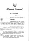 Vista preliminar de documento RD N° 087-2022.pdf