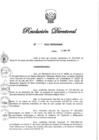 Vista preliminar de documento RD N° 119-2022.pdf