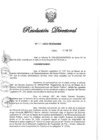Vista preliminar de documento RD N° 125-2022.pdf