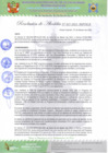 Vista preliminar de documento Resolución de Alcaldia N°027-2022-MPVH A.pdf