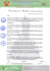Vista preliminar de documento Resolución de Alcaldia N°029-2022-MPVH A.pdf