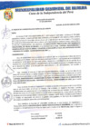 Vista preliminar de documento Resolución de Alcaldía Nº272-2020-MDH