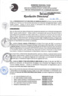 Vista preliminar de documento RD 455-2022- CONFORMAR COMISION DE CONCURSO CAS 001-2022- SALUD MENTAL_.pdf