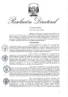 Vista preliminar de documento RD 016-2022-INPE-DTP.pdf