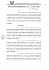 Vista preliminar de documento RGM0228-2010