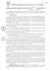 Vista preliminar de documento RGM0246-2010