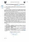 Vista preliminar de documento RGM0254-2010
