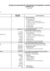 Vista preliminar de documento Información Contable: Estado de Ejecución Financiera (EF-1) 2017