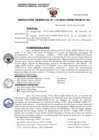 Vista preliminar de documento RG 115-2022
