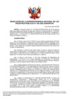 Vista preliminar de documento RES 055-2022-SUNARP-SN