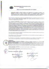 Vista preliminar de documento RESOLUCIÓN DE ALCALDÍA N° 0338-2020-MPI