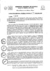 Vista preliminar de documento Resolución Gerencial General Regional