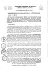 Vista preliminar de documento Resolución Gerencial General Regional