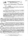 Vista preliminar de documento Resolución Gerencial General Regional