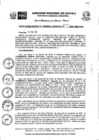 Vista preliminar de documento Resolución Gerencial General Regional