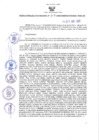 Vista preliminar de documento RES-219-2022-GR