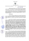 Vista preliminar de documento RES-223-2022-GR