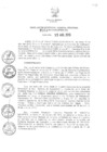 Vista preliminar de documento RGGR_393_2013.pdf