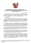 Vista preliminar de documento RES 135-2022-SUNARP-GG