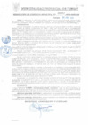 Vista preliminar de documento RGM0052-2010