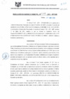 Vista preliminar de documento RGM0085-2010
