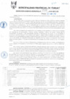 Vista preliminar de documento RGM0091-2010
