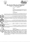 Vista preliminar de documento RESOLUCION 267-2017.pdf