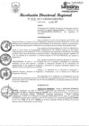 Vista preliminar de documento RESOLUCION 272-2017.pdf