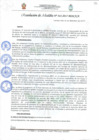 Vista preliminar de documento Resolución de Alcaldía N° 343-2017-MDCA/A.pdf