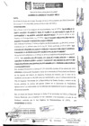 Vista preliminar de documento Acuerdo de Concejo 216-202-MPC.pdf