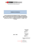 Vista preliminar de documento TDR