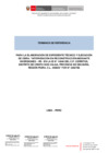 Vista preliminar de documento TDR