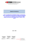 Vista preliminar de documento TDR