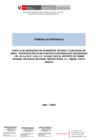 Vista preliminar de documento TDR