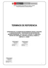 Vista preliminar de documento TDR