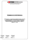 Vista preliminar de documento TDR