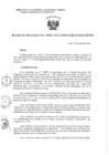 Vista preliminar de documento R.D. 042-2022-MIDAGRI-PSI.pdf