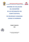 Vista preliminar de documento INFORME DE EVALUACIÓN DE INTEGRANTES DE CODISEC.pdf