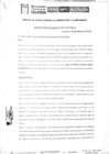 Vista preliminar de documento Resolución de Alcaldía 040-2019-MPC.pdf