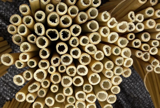 Cañitas biodegradables