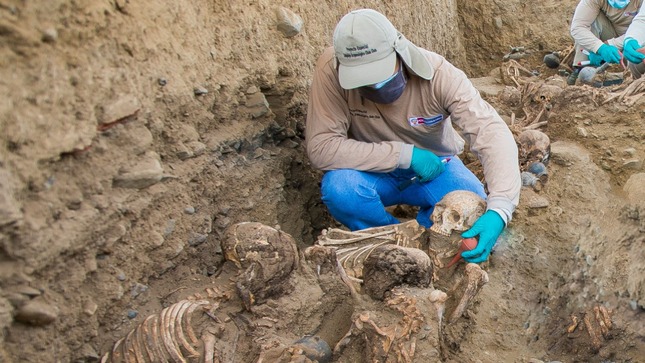 Ministerio de Cultura organiza webinar: “Bioarqueología de la muerte y antropología dental en los Andes”