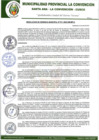 Vista preliminar de documento RGM-313-2022-GM-MPLC