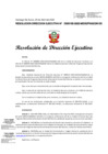 Vista preliminar de documento RESOLUCION DIRECCION EJECUTIVA-000195-2022-DE.pdf