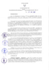 Vista preliminar de documento RER N° 236-2022