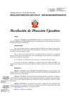 Vista preliminar de documento RESOLUCION DIRECCION EJECUTIVA-000196-2022-DE.pdf