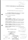 Vista preliminar de documento 1.pdf
