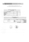 Vista preliminar de documento INF-PERMID - Personal Activo - Resumen